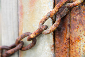 Libertà senza tempo