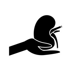 hand hold human kidney healthcare concept vector illustration black design
