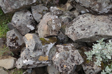 アイスランド、スカフタフェトル、コケの生えた岩