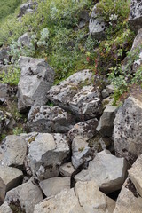 アイスランド、スカフタフェトル、コケの生えた岩