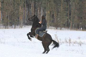 Young black haired woman on top a bay horse in winter forest