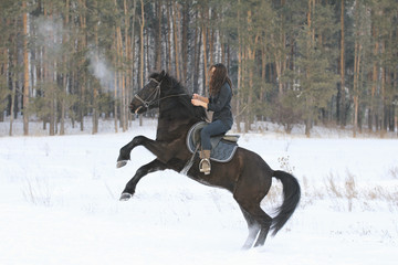 Young woman riding on black horse in snowy countryside