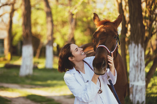 Fototapeta Weterynarz cieszy się z koniem outdoors na rancho.