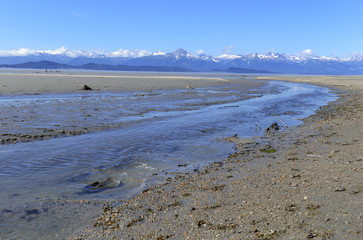 Mountain scene in Alaska with migrating pacific salmon swimming upstream which takes place along the pacific coast each season and is crucial to the ecosystem.