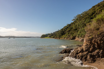 Rocky Shoreline At Paihia New Zealand 