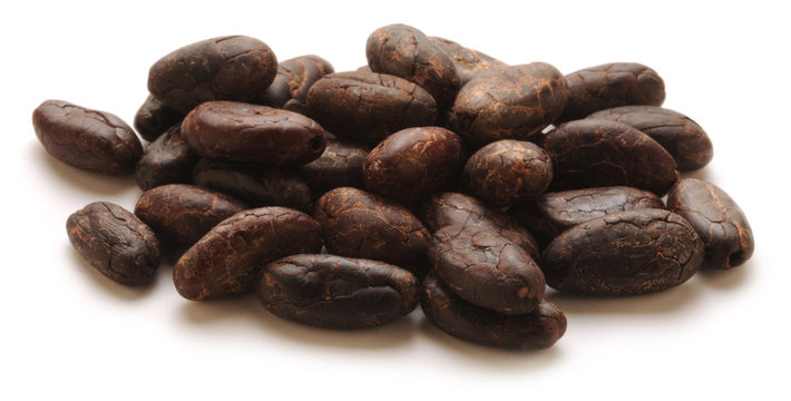 Theobroma cacao Կակաո 카카오 Kak&oacute; شجرة Kaka&oacute; Kakaowiec właściwy n&ouml;v&eacute;nyfaj كاكاو