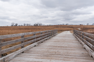 Fototapeta na wymiar Prairie Landscape with bridge
