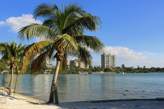 Sarasota Bayfront