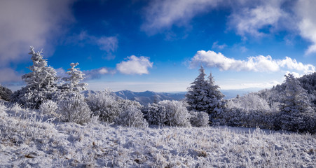 A breathtaking scene in the mountain of North Carolina during the frigid winter months. 