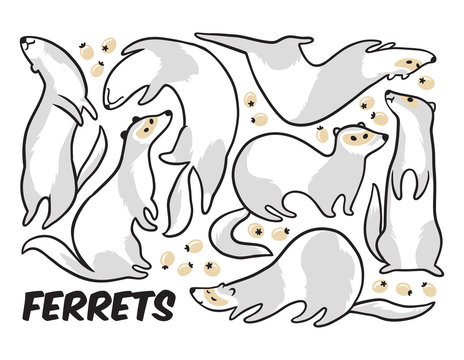 Cute cartoon ferrets set in outline. Vector illustration