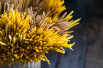 Close-up beautiful yellow reeds grass flower in wedding. concept of decoration, ceremony, event and celebration.
