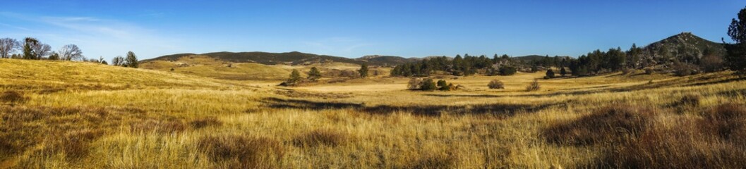 Wide Panoramic Landscape Scenic View of Alpine Meadows and Natural Grassland in Cuyamaca Rancho...