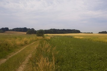 Field and sky with path