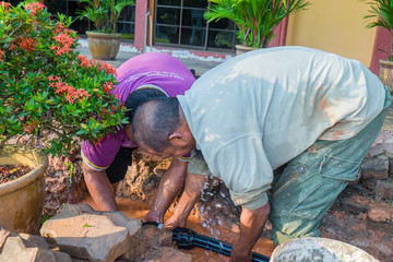 Fototapete bei efototapeten.de bestellen   