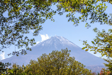 Mont fuji seen from Jukai Forest