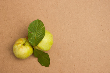 two green guava on the wood background