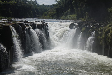 Wildnis Wasserfall 