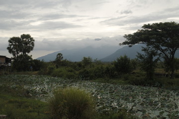 Berge in Laos