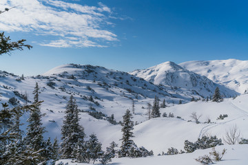Fototapeta na wymiar Unberührte Schneelandschaft in Österreich mit blauem Himmel