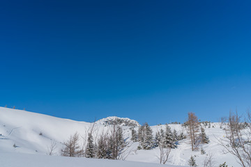 Unberührte Schneelandschaft in Österreich mit blauem Himmel