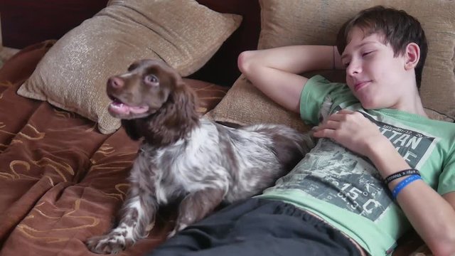 boy and teenager friendship with laugh dog on bed. pet boy and dog indoors