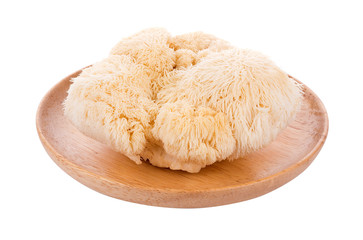 lion mane mushroom isolated on white background