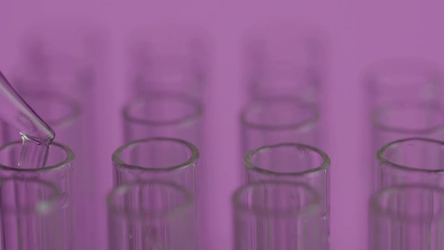aboratory scientist working with a pipette analyzes and extract the DNA or molecules in the test tubes.on white background