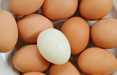 white boiled egg peel out on plate