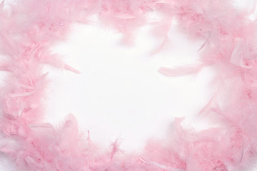 Frame of delicate pink feathers on white background with blank space for text.