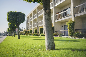 Afternoon shot of trees, grass field and apartment with balcony