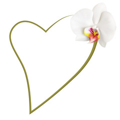 Realistic white orchid frame, heart.