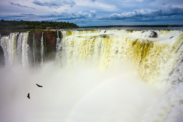 Andean condors fly above the roaring water