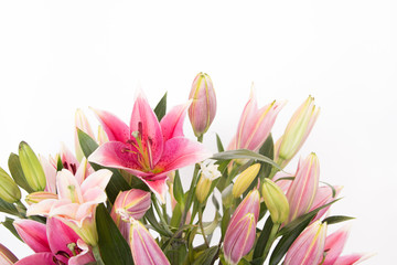 The beautiful lilly flowers are on white background.