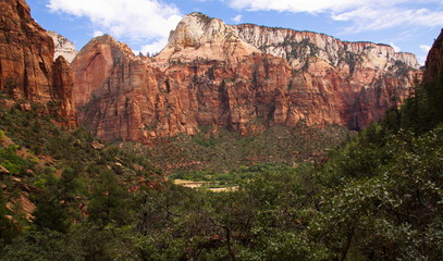 Landscape in Zion NP in Utah in the USA
