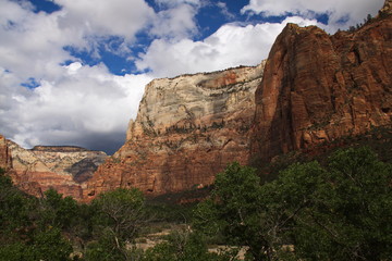 Fototapeta na wymiar Landscape in Zion NP in Utah in the USA 