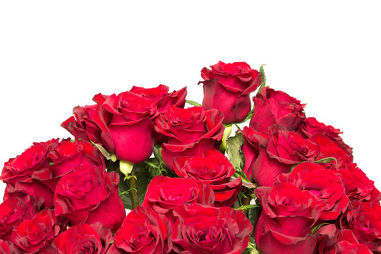 The beautiful red roses bouquet on isolate white background.