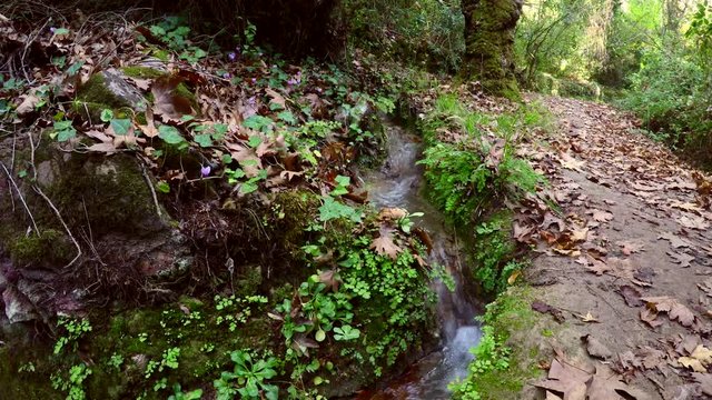 Beautiful small brook. Marmaris, Turkey.