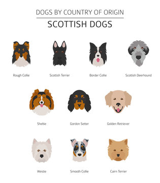 Dogs by country of origin. Scottish dog breeds. Infographic template