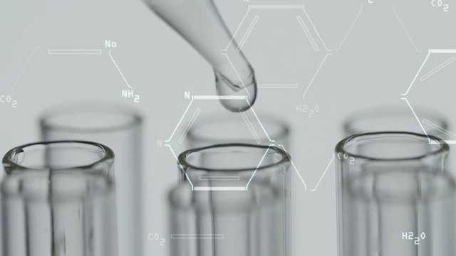 Close up of laboratory scientist working with a pipette analyzes and extract the DNA or molecules in the test tubes.on white background with graphic interface
