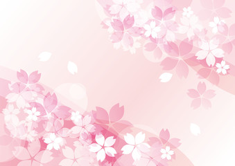 桜たくさん ピンク 斜め 全面
