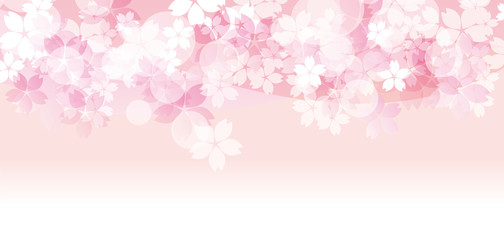 桜たくさん ピンク 三 全面