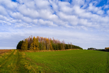 Fototapeta premium Wzgórza Sokólskie w jesiennych kolorach