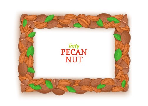 Horizontal Rectangle colored frame composed of delicious of pecan nut. Vector card illustration. Filbert nuts frame, walnut fruit in the shell, whole, shelled, leaves for packaging design of food.