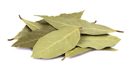 Bay leaves isolated on white background