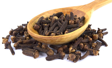 Dry cloves spice isolated on white background