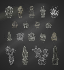 Vector set of chalk cacti and succulents on blackboard background.