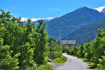 Fototapete bei efototapeten.de bestellen   