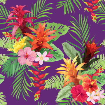 Beautiful seamless pattern with guzmania and hibiscus flowers on purple background. Vector set of blooming tropical floral for wedding invitations, greeting card and fashion design. 