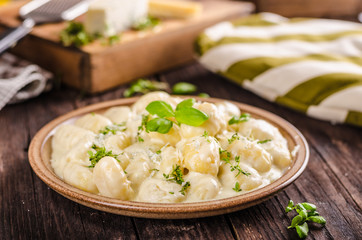 Cheese gnocchi with blue cheese sauce and galic