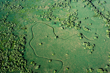 Aerial View over Danube Delta Marshland, Romania